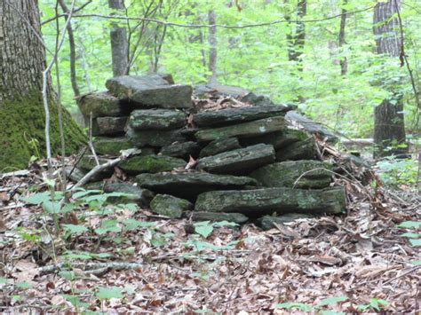 These big rocks are buried halfway in the ground 